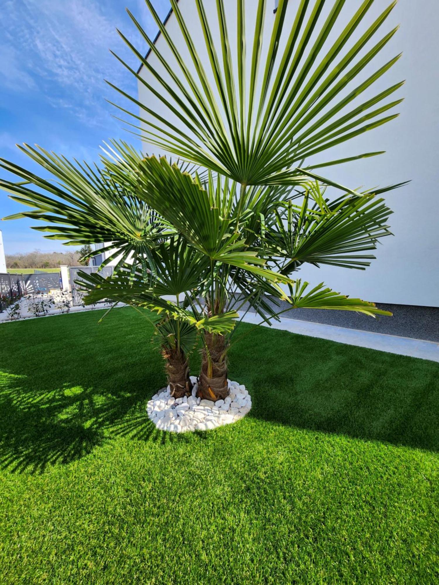 Villa Keti Porec Bagian luar foto